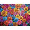 Colorful Flowers